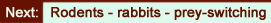 rabbits